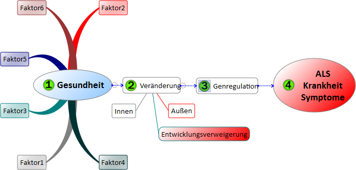 Entstehung ALS Krankheit durch epigenetische Ver�nderung