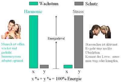 Epigenetik und Genregulation- Überlebensstrategie Wachstum und Schutz